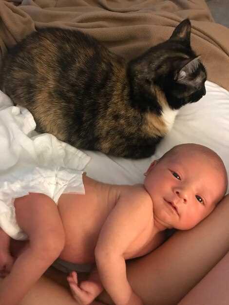 Отношение к котятам: доброе и зловещее значение