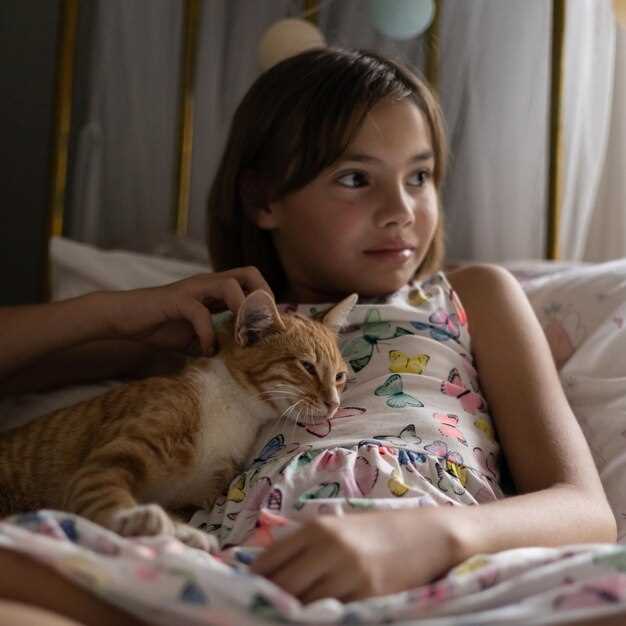 Раждающееся котят во сне как отражение планов и надежд