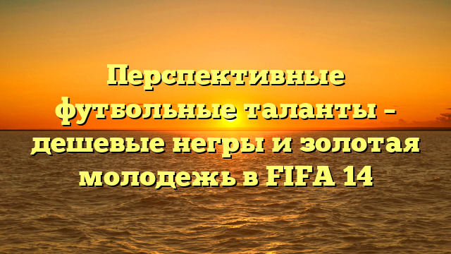 Перспективные футбольные таланты – дешевые негры и золотая молодежь в FIFA 14